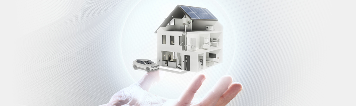 Complete woning elektra-installatie — ABB Hafonorm concept met laadpaal en zonnepanelen